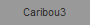 Caribou3